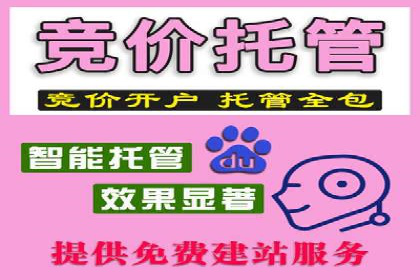 百度竞价广告的创意执行：成功案例详解